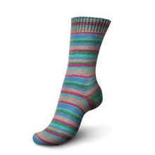 Load image into Gallery viewer, Schachenmayr Regia Design Line Colours by Arne & Carlo and Kaffe Fassett
