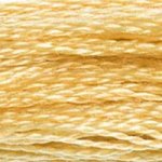 Load image into Gallery viewer, DMC Embroidery Floss - Colours 601-834