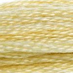 Load image into Gallery viewer, DMC Embroidery Floss - Colours 601-834