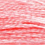 Load image into Gallery viewer, DMC Embroidery Floss - Colours 838-996