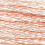Load image into Gallery viewer, DMC Embroidery Floss - Colours 838-996