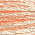 Load image into Gallery viewer, DMC Embroidery Floss - Colours 838-996