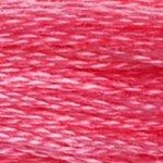 Load image into Gallery viewer, DMC Embroidery Floss - Colours 838-996