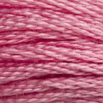 Load image into Gallery viewer, DMC Embroidery Floss - Colours 838-996