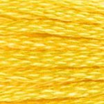 Load image into Gallery viewer, DMC Embroidery Floss - Colours 838-996