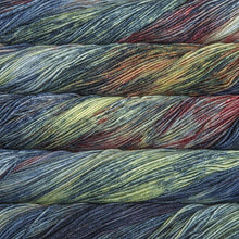 Load image into Gallery viewer, Malabrigo Arroyo