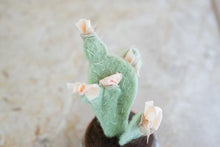 Load image into Gallery viewer, Making No 7 Desert