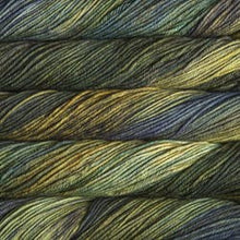 Load image into Gallery viewer, Malabrigo Rios