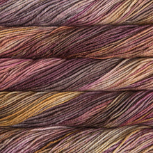 Load image into Gallery viewer, malabrigo rios
