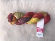 Load image into Gallery viewer, County Vacay Sock by Baa'd Girl Yarns