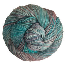 Load image into Gallery viewer, Malabrigo Arroyo