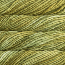 Load image into Gallery viewer, Malabrigo Rasta