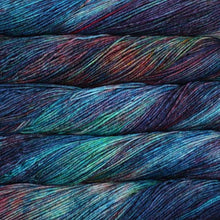 Load image into Gallery viewer, Malabrigo Arroyo Camaleon