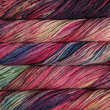 Load image into Gallery viewer, Malabrigo Rios Aniversario