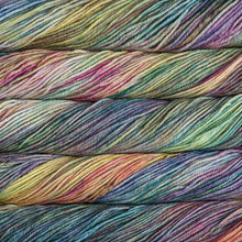 Load image into Gallery viewer, Malabrigo Rios Arco Iris