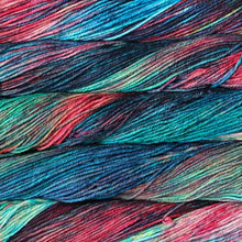Load image into Gallery viewer, Malabrigo Rios Camaleon
