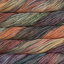 Load image into Gallery viewer, Malabrigo Rios Primavera