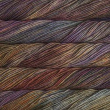 Load image into Gallery viewer, Malabrigo Rios