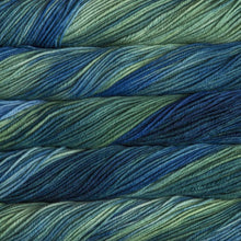 Load image into Gallery viewer, Malabrigo Rios