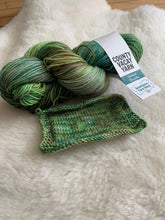 Load image into Gallery viewer, County Vacay Sock by Baa'd Girl Yarns