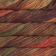 Load image into Gallery viewer, Malabrigo Rios