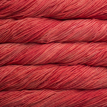 Load image into Gallery viewer, Malabrigo Rios