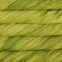 Load image into Gallery viewer, Malabrigo Rios