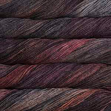 Load image into Gallery viewer, Malabrigo Arroyo