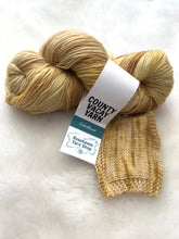 Load image into Gallery viewer, County Vacay Sock by Baa'd Girl Yarns