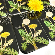 Load image into Gallery viewer, Firefly Notes Notions Tins
