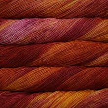 Load image into Gallery viewer, Malabrigo Arroyo