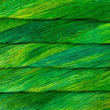 Load image into Gallery viewer, Malabrigo Arroyo