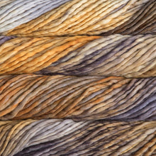 Load image into Gallery viewer, Malabrigo Rasta
