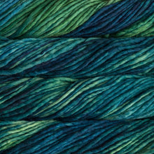 Load image into Gallery viewer, Malabrigo Rasta