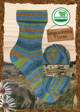 Load image into Gallery viewer, Rainforest &amp; Wild Nature by Opal Yarns
