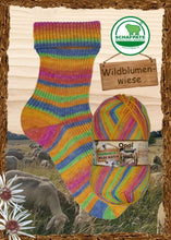 Load image into Gallery viewer, Rainforest &amp; Wild Nature by Opal Yarns
