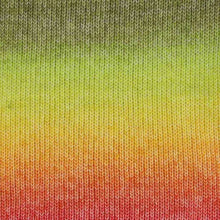 Load image into Gallery viewer, Stone Washed FLOW by Scheepjes
