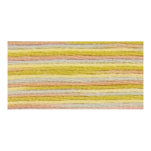 Coloris multi-coloured DMC Floss