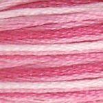 Load image into Gallery viewer, DMC Embroidery Floss - Colours Varigated
