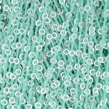 Load image into Gallery viewer, Paillettes
