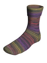 Load image into Gallery viewer, Berroco Sox
