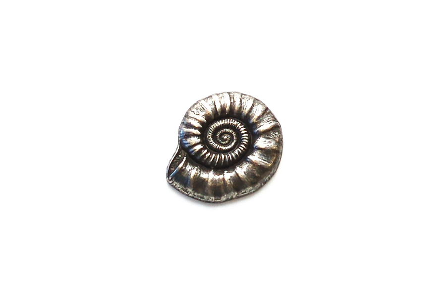 Metal Antique Silver Nautilus Shell - 15 MM