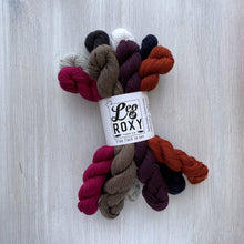Load image into Gallery viewer, Mid Winter Sock set by Leo &amp; Roxy
