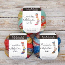 Load image into Gallery viewer, Evolution Strip &amp; Celebration Sock 4 ply
