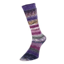 Load image into Gallery viewer, Evolution Strip &amp; Celebration Sock 4 ply
