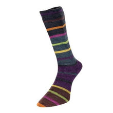 Load image into Gallery viewer, Evolution Strip &amp; Celebration Sock 4 ply
