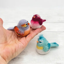 Load image into Gallery viewer, Bergin &amp; Bath Needle Felting Kits
