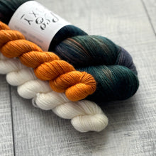 Load image into Gallery viewer, Sock Sets by Leo &amp; Roxy
