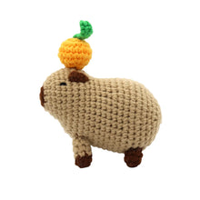 Load image into Gallery viewer, Chill Capybara Diy Crochet Kit
