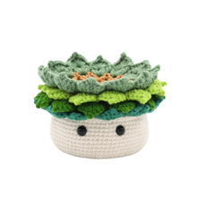 Load image into Gallery viewer, PLANT DIY CROCHET KIT
